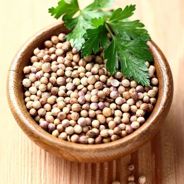 Aromatic Coriander Seeds